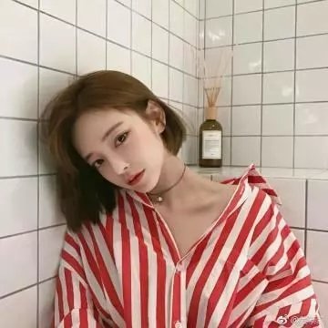 雏菊