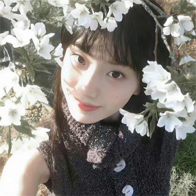 女婿难当